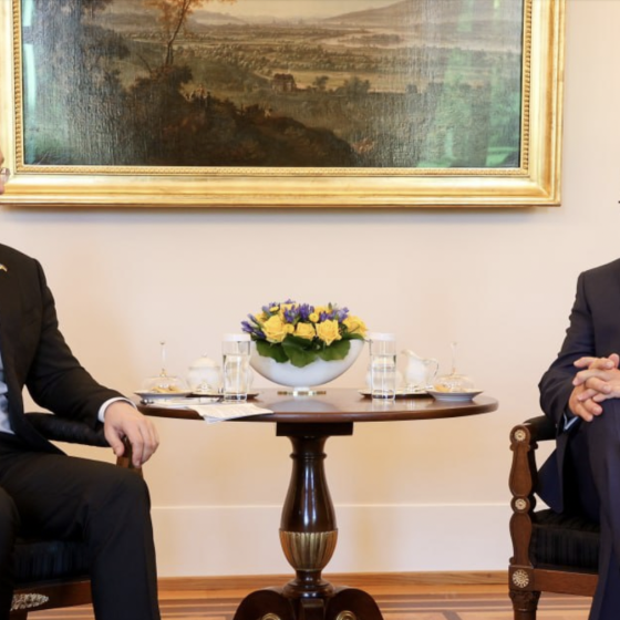 Meeting of the PM of Ukraine and the President of Germany