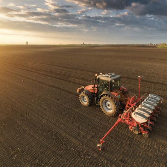 Winter Sowing Started in Ukraine