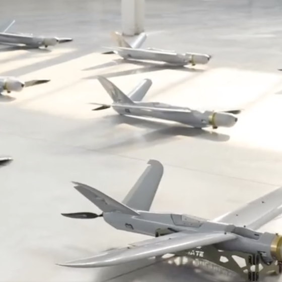 Ukrainians Bought 20 “Warmate” Drones