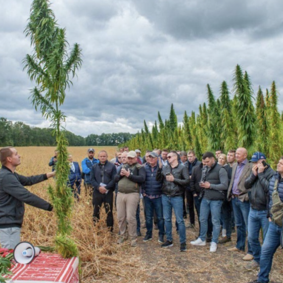 Hemp Cultivation in Ukraine
