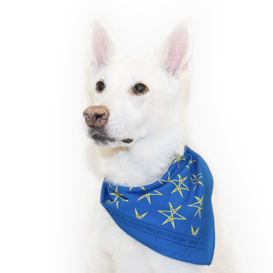 “Bring Me The Horizon” Launched Sale of Bandanas “Glory to Ukraine”
