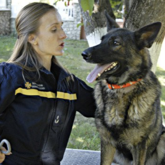 Russians Kill. Animals Save