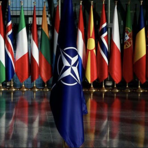 10 Countries Support Ukraine’s Accession to NATO