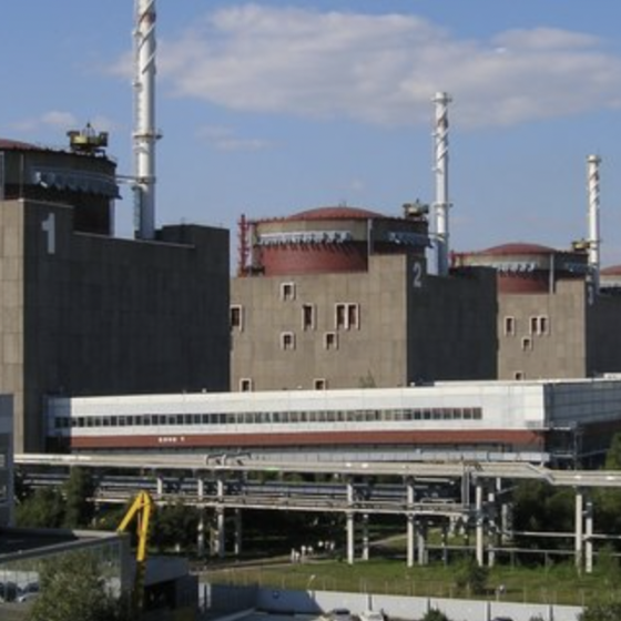 Emergency Disconnection of the Last Power Line of ZNPP