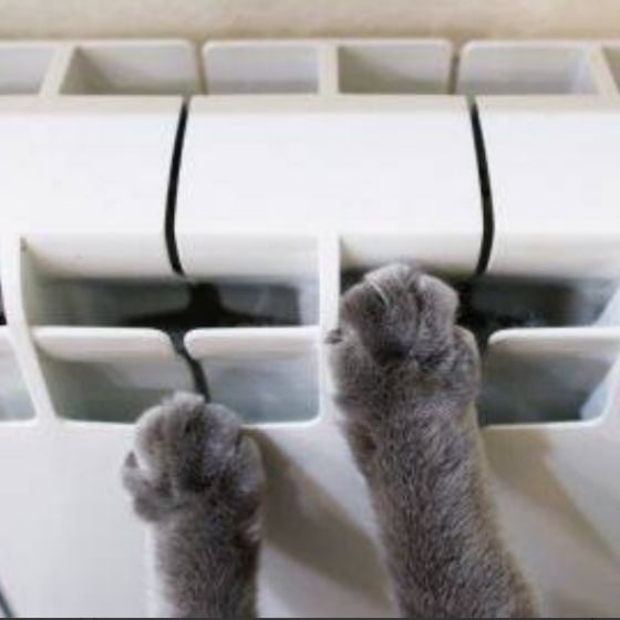 Perhaps This Winter, Kyiv Will Live Without Centralized Heating