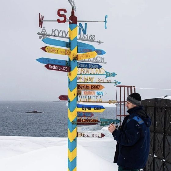 Seals and Penguins Know Where Kherson Is