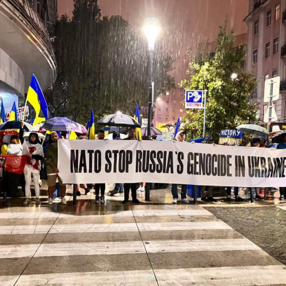 Poland, Czechia, Israel, and France Came in Peaceful Rallies in Support of Ukraine. Photos