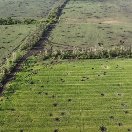 Russian Ecocide