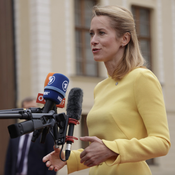 Estonian PM Supports Ukrainian Peace Formula