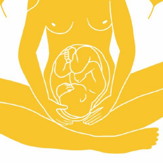 Childbirth in War