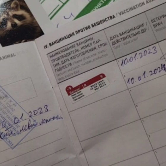 Ukraine Will Return All Ukrainians and Every Raccoon 