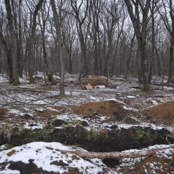 The Largest National Park in the Donetsk Region Destroyed by 80%