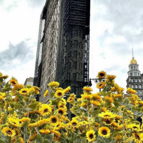 Ukraine in New York 