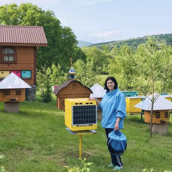 The First IT-Apiary Is Being Built in Ukraine 