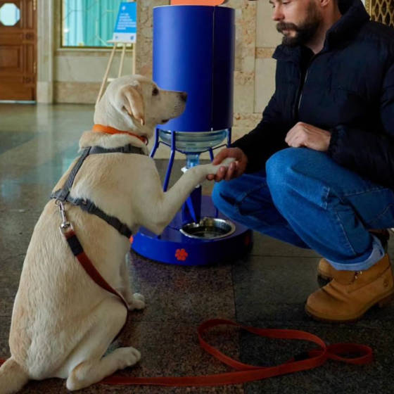 Friendly Trains for Animals in Ukraine 
