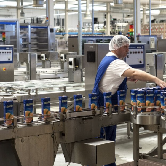 2 Plants in the Mykolaiv Region Have Resumed Production