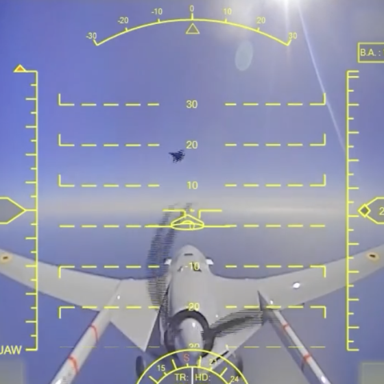 Russian Aviarecidivists