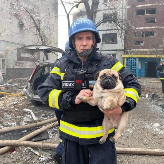 Rescue Works Completed in Zaporizhzhia 