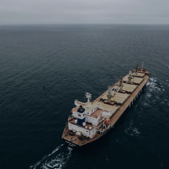 “Grain From Ukraine” to Yemen