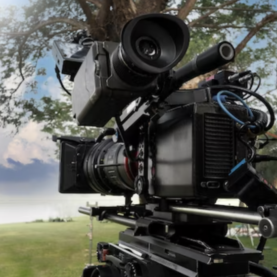 Film Culture During the War