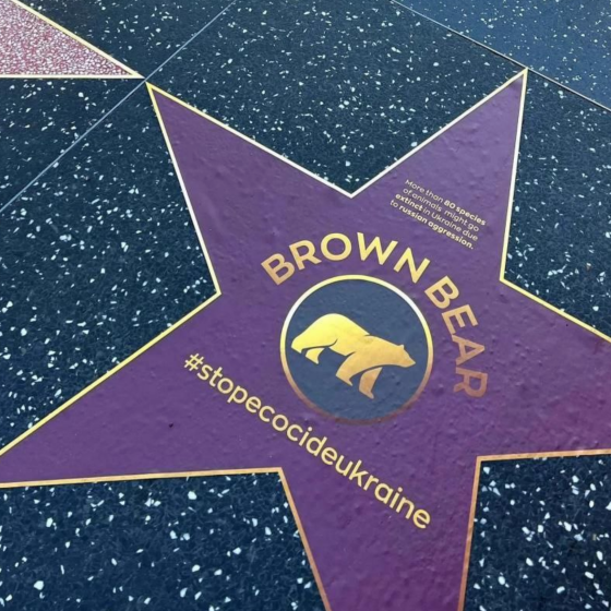 Ukrainian Endangered Animals — New Hollywood Stars of the “Walk of Fame”