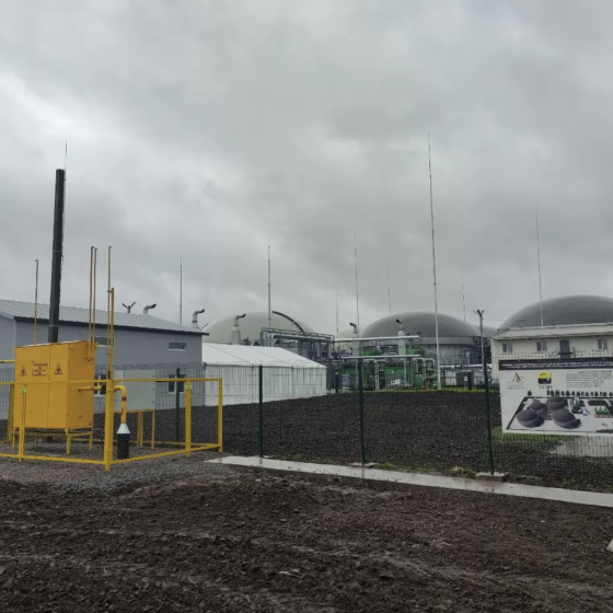 Ukrainian Company Became an Investment Nanny of a Plant