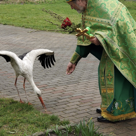 Ukraine Renounces the Moscow Patriarchate