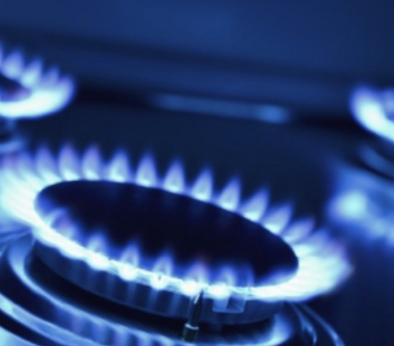 EU Joint Gas Procurement