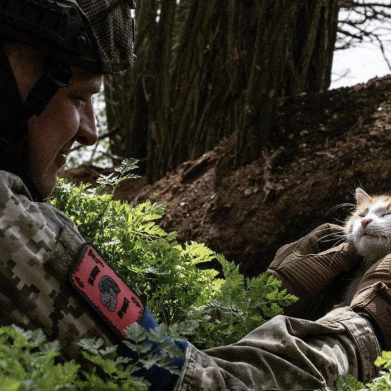 Donetsk Defenders. Photos