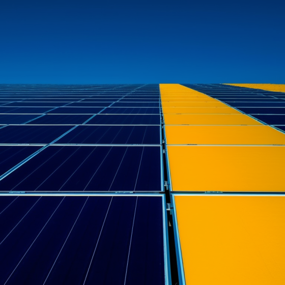 A Sustainable Revolution: How Ukraine is Embracing the Future of Alternative Energy
