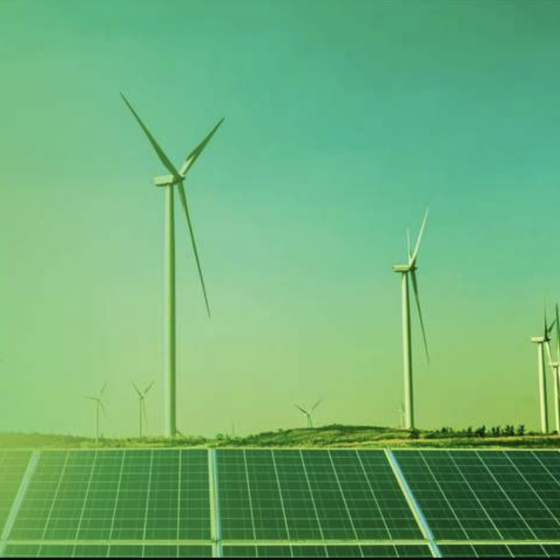 The Launch of the State Decarbonisation Fund