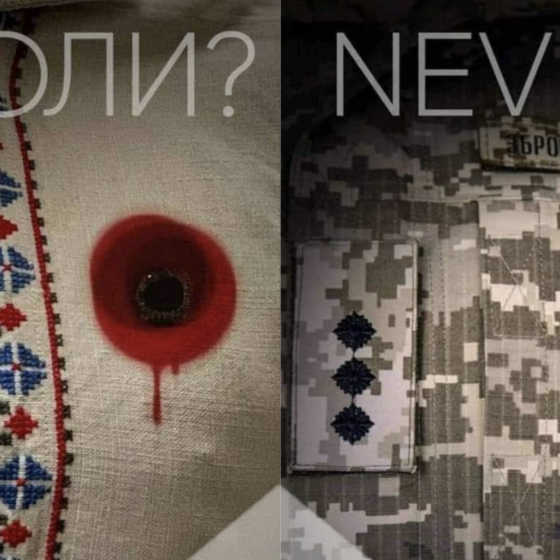 The 9th of May — the Day of Europe in Ukraine 