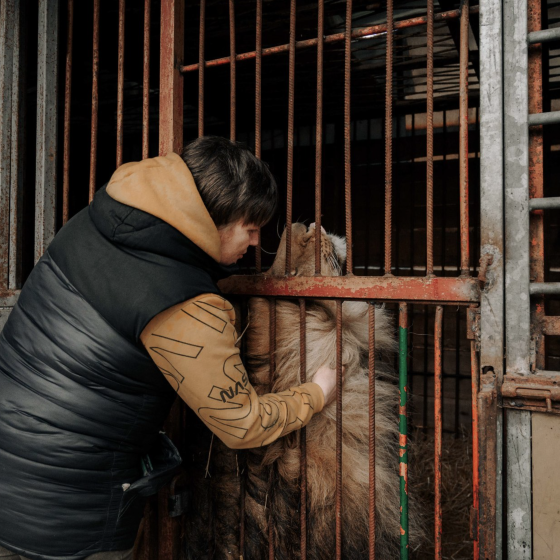 Fundraising for Housing for Predators Rescued from Donetsk and Luhansk 