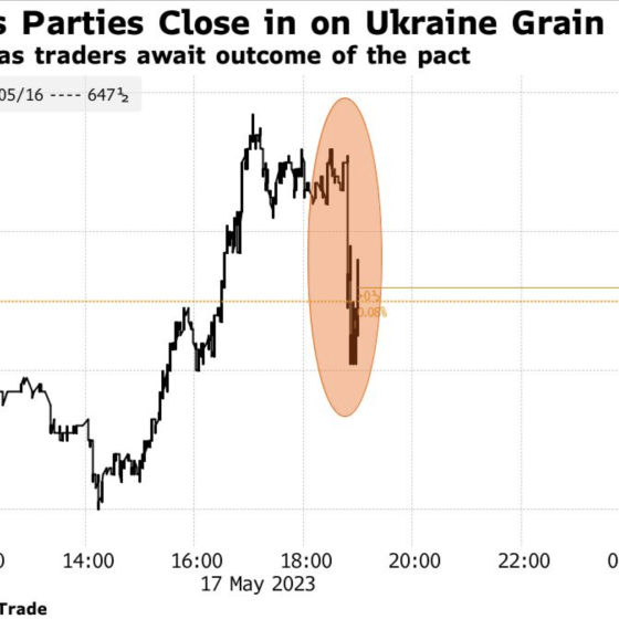 Turkey Announces Extension of Grain Agreement