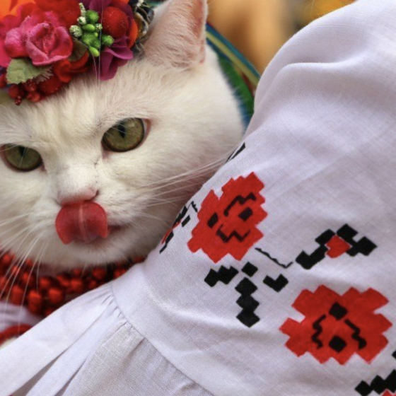 Ukrainian Vyshyvanka Day