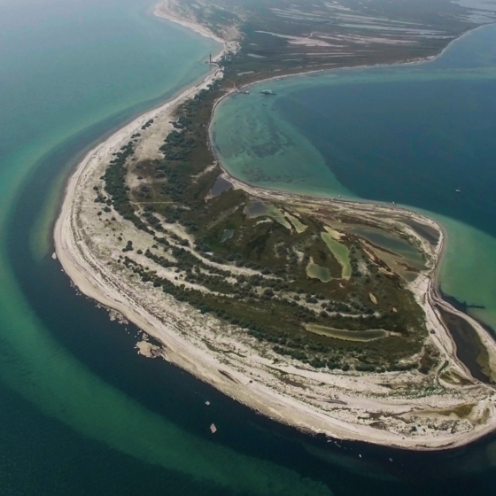 The Russian Ecocide Continues. Dzharylgach Island