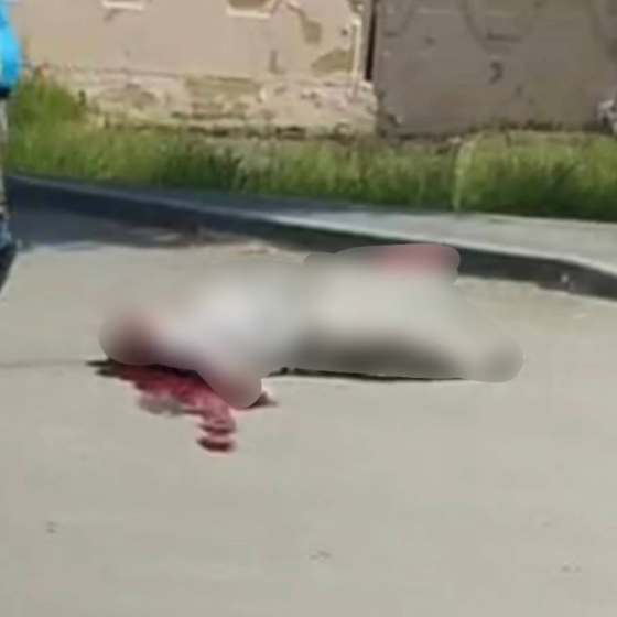Rocket attack on the Dnipro. 26 of May. Photos