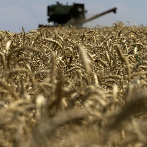 Russian Federation Violates Grain Agreement