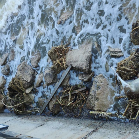 Kakhovka Tragedy = $1.5 Bln Damage to the Nature of Ukraine 