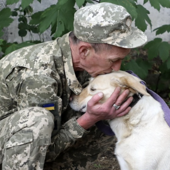 Mine Detection Dogs of Ukraine. Photos