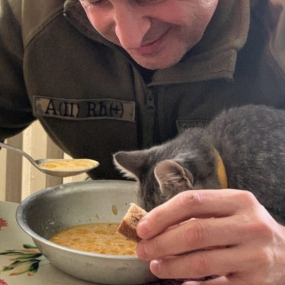 Furry Assistants in the Armed Forces of Ukraine