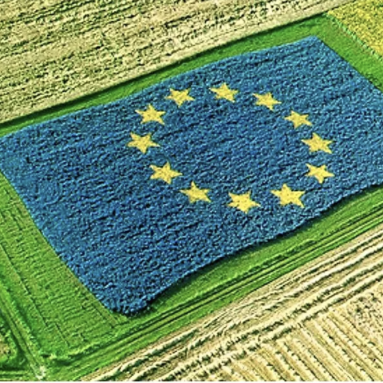 €330 Mln to Maintain the EU Common Agricultural Policy