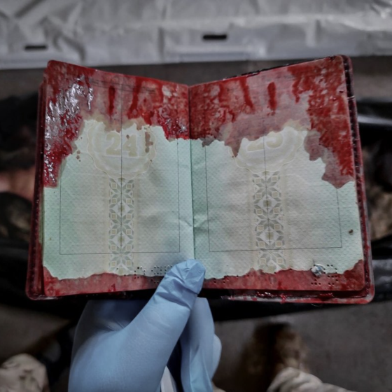 The 490th Day of the War. 5 Photos