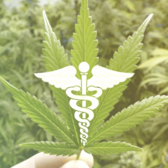 Legalisation of Medical Cannabis in Ukraine