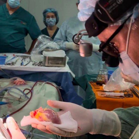 Posthumous Organs Donation: 4-Year-Old Boy Saved 3 Children