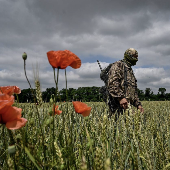 The 1st of July. The War. 9 Photos