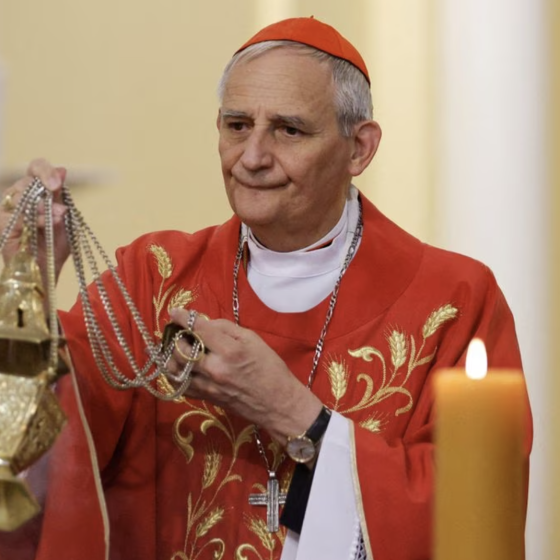 Papal Missionary Didn’t Discuss Peace With Kremlin