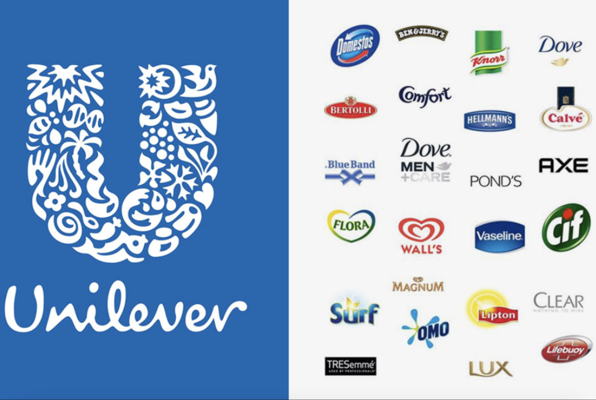 "Unilever" Sponsors The Russian War - GTInvest