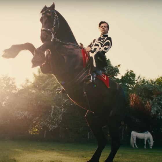 Ukrainian Director Created Clip for Harry Styles