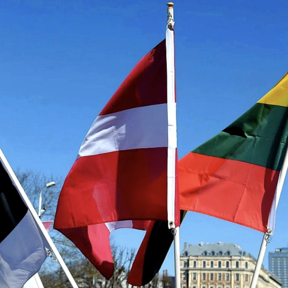 The Baltic States Withdraw the Agreement on Electricity Supply From Russia